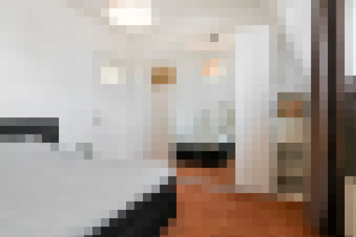 Piusstraat 26 j Tilburg thumbnail 12