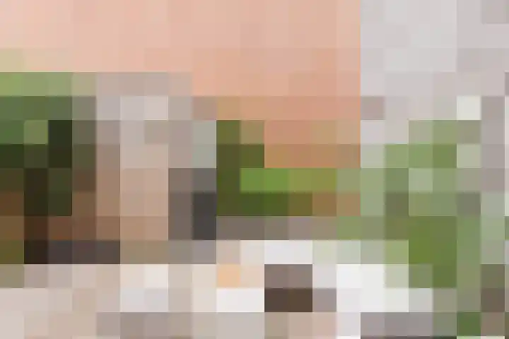 Piusstraat 323 Tilburg thumbnail 38