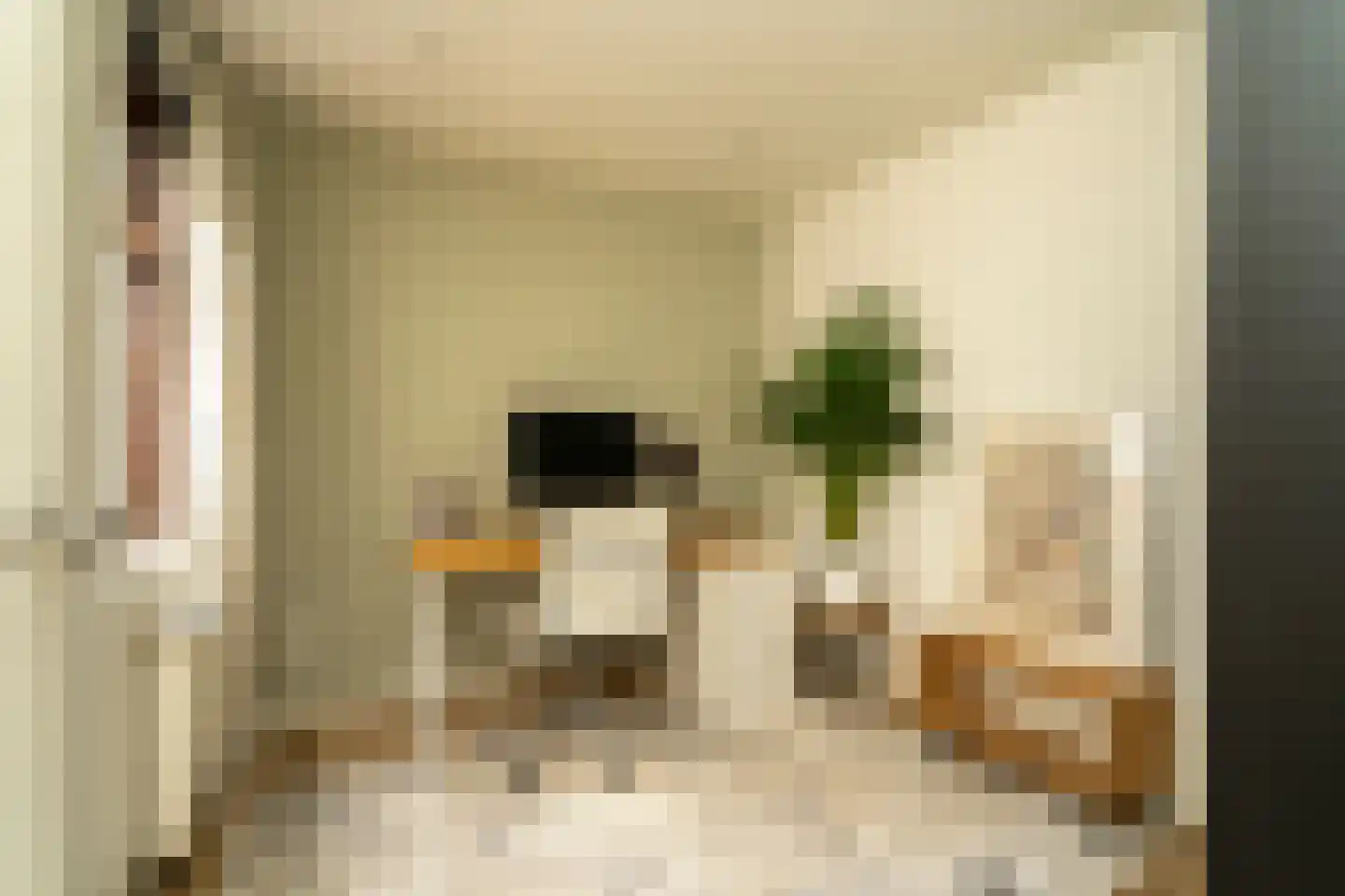 Piusstraat 331 Tilburg thumbnail 17