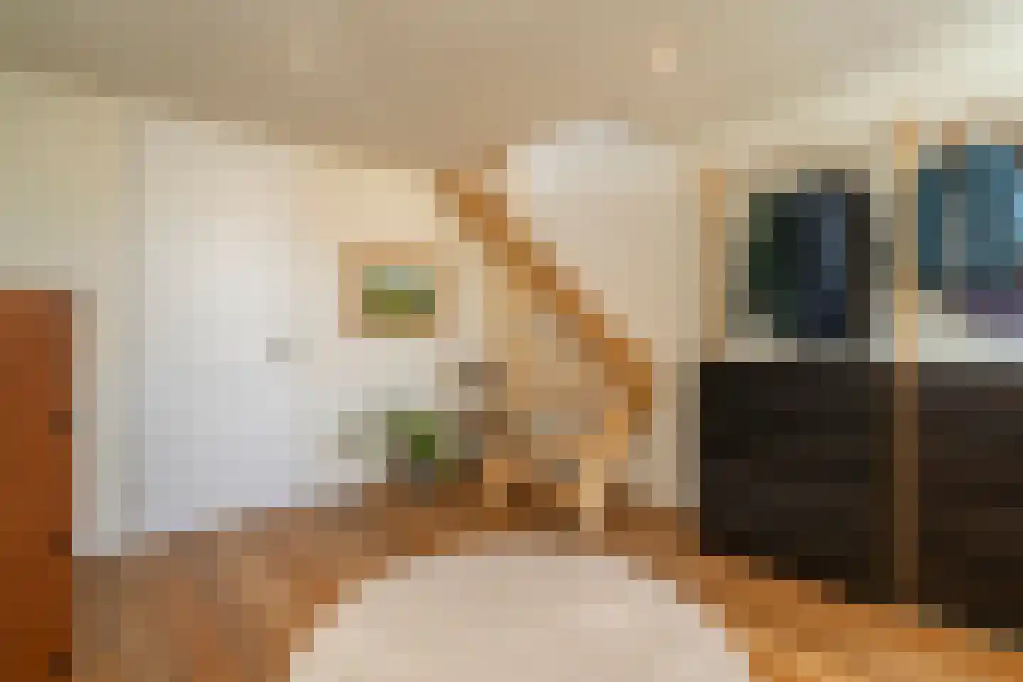 Piusstraat 331 Tilburg thumbnail 19