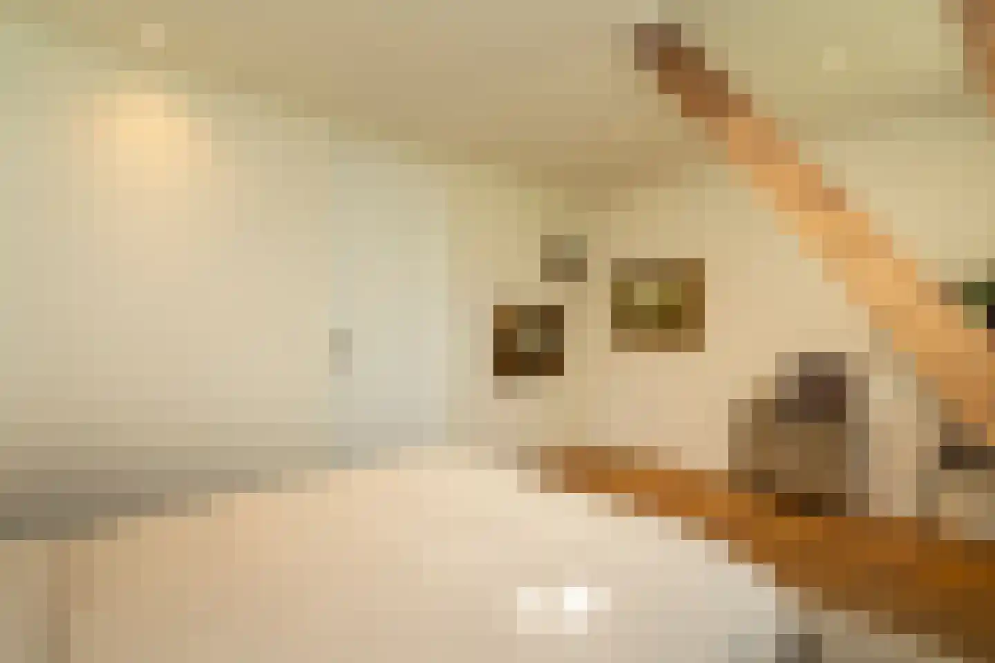 Piusstraat 331 Tilburg thumbnail 21