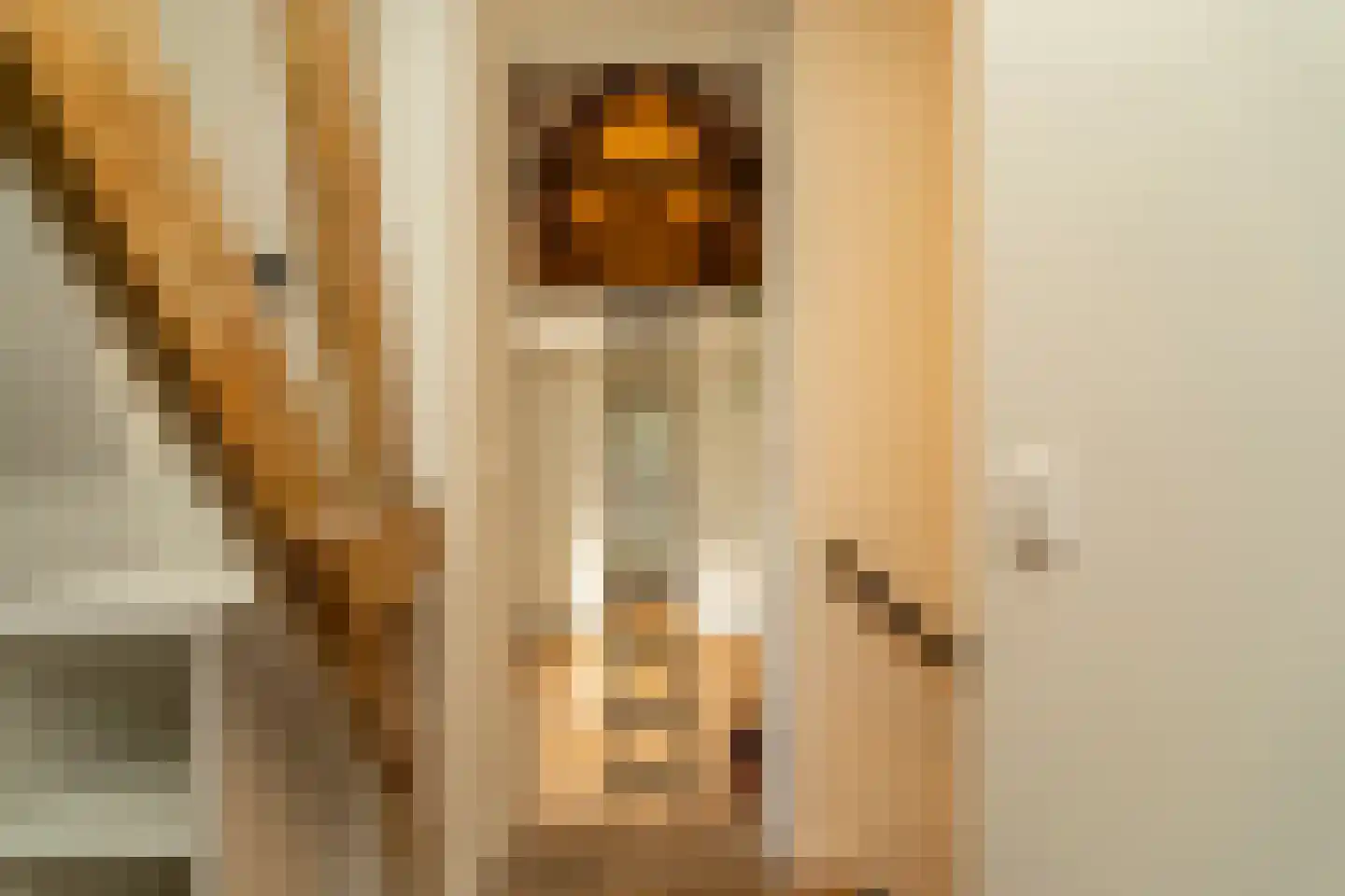 Piusstraat 331 Tilburg thumbnail 23