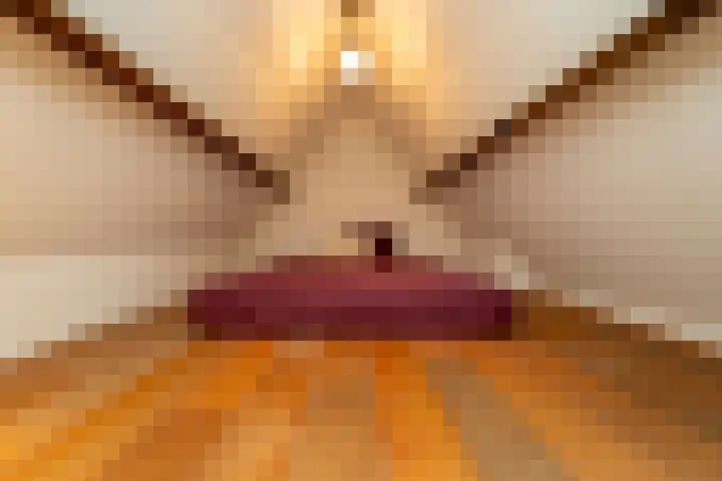 Piusstraat 331 Tilburg thumbnail 24