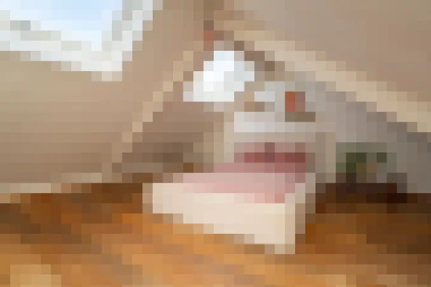 Piusstraat 331 Tilburg thumbnail 31