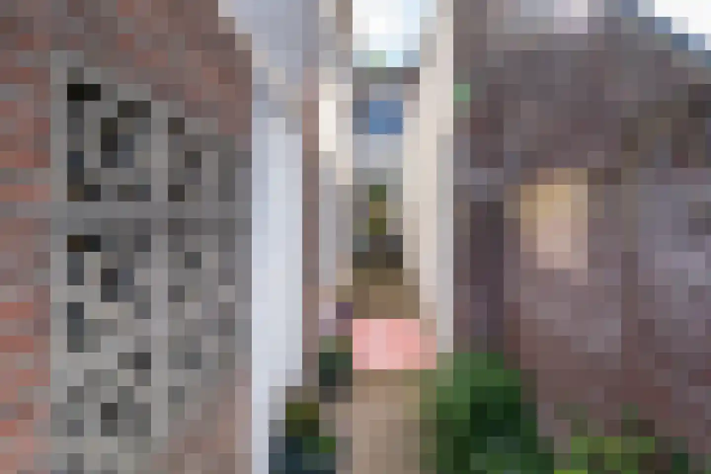 Piusstraat 331 Tilburg thumbnail 33