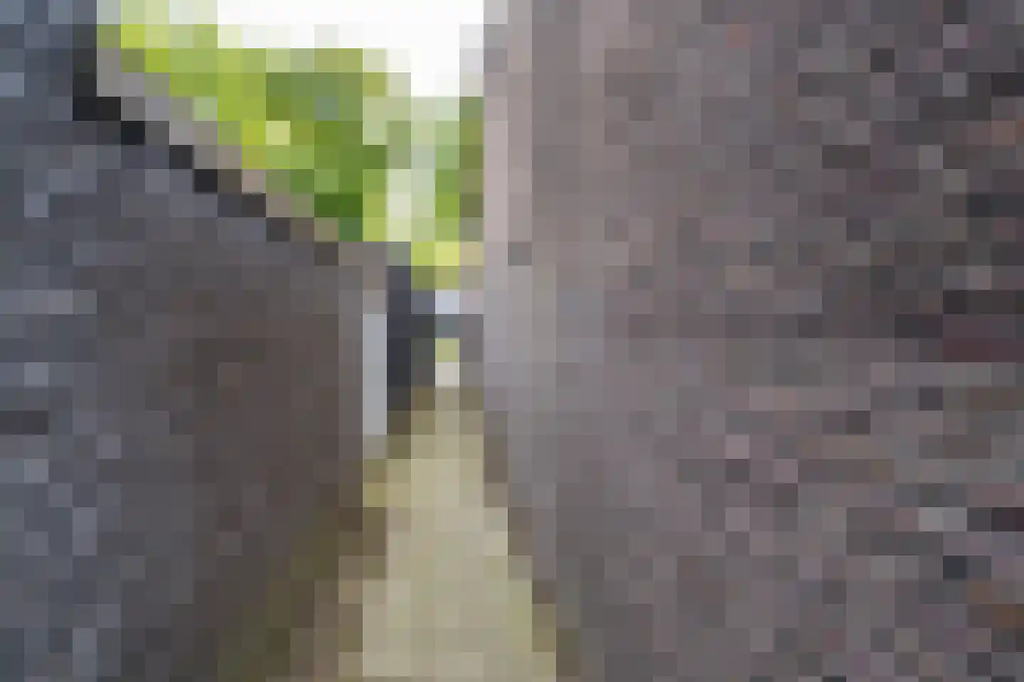 Piusstraat 331 Tilburg thumbnail 37