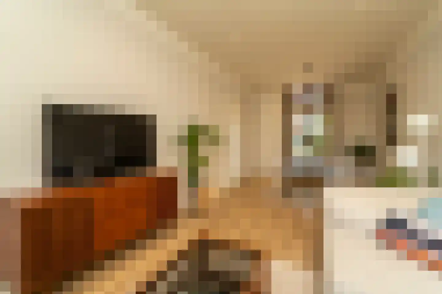 Piusstraat 331 Tilburg thumbnail 5
