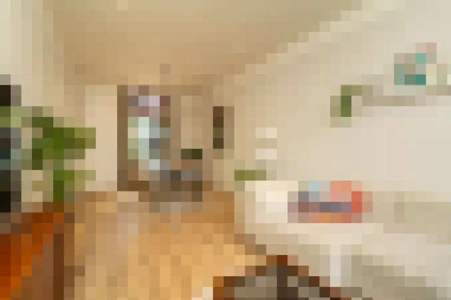 Piusstraat 331 Tilburg thumbnail 6