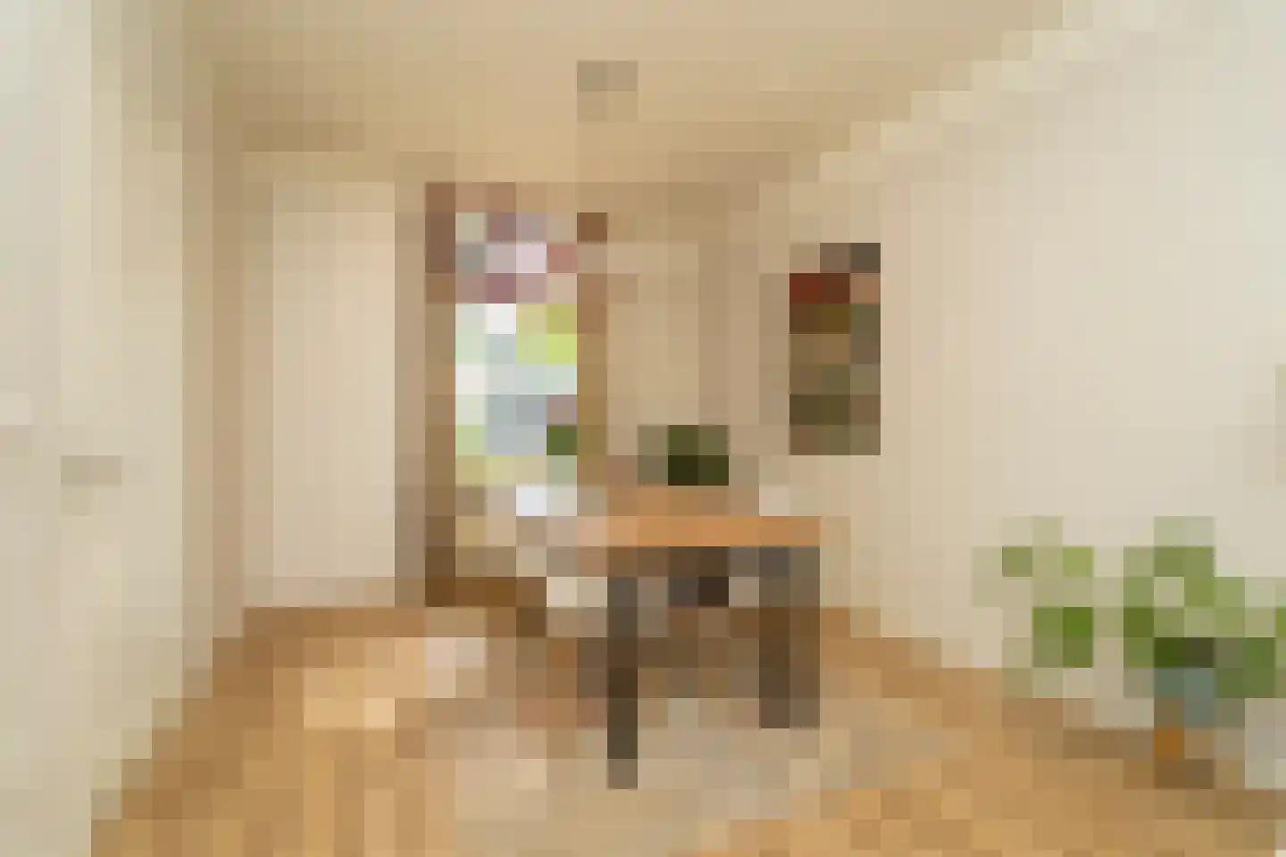 Piusstraat 331 Tilburg thumbnail 7