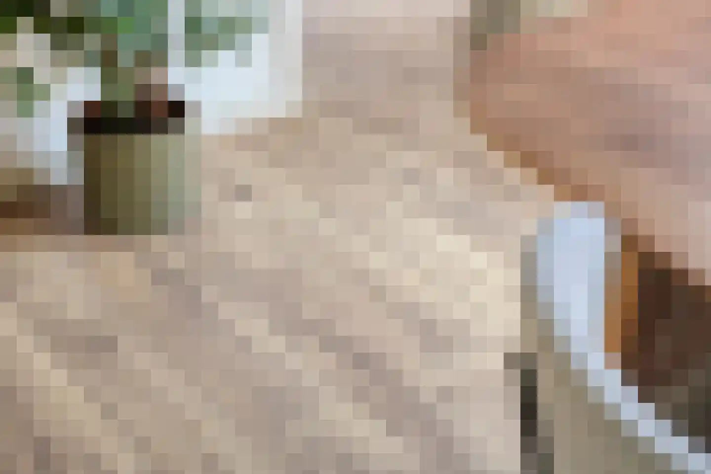 Piusstraat 371 Tilburg thumbnail 21