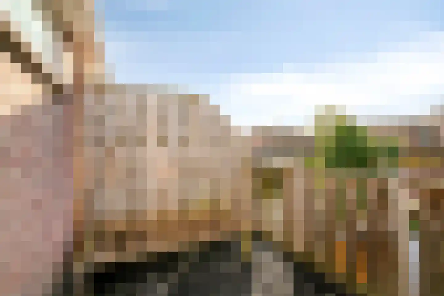 Piusstraat 371 Tilburg thumbnail 31