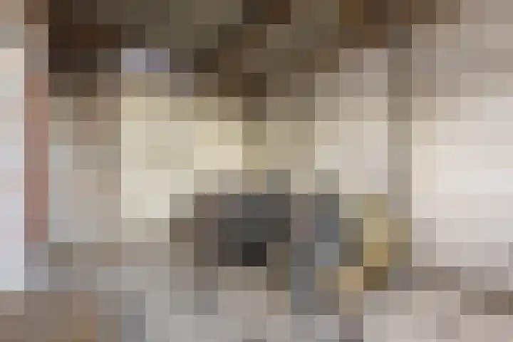 Piusstraat 58 Tilburg thumbnail 24