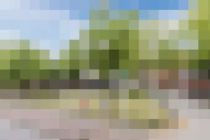 Piusstraat 58 Tilburg thumbnail 35