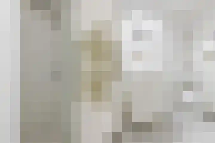 Piusstraat 60 c Tilburg thumbnail 15