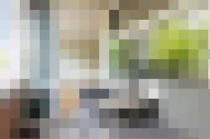 Piusstraat 60 c Tilburg thumbnail 17