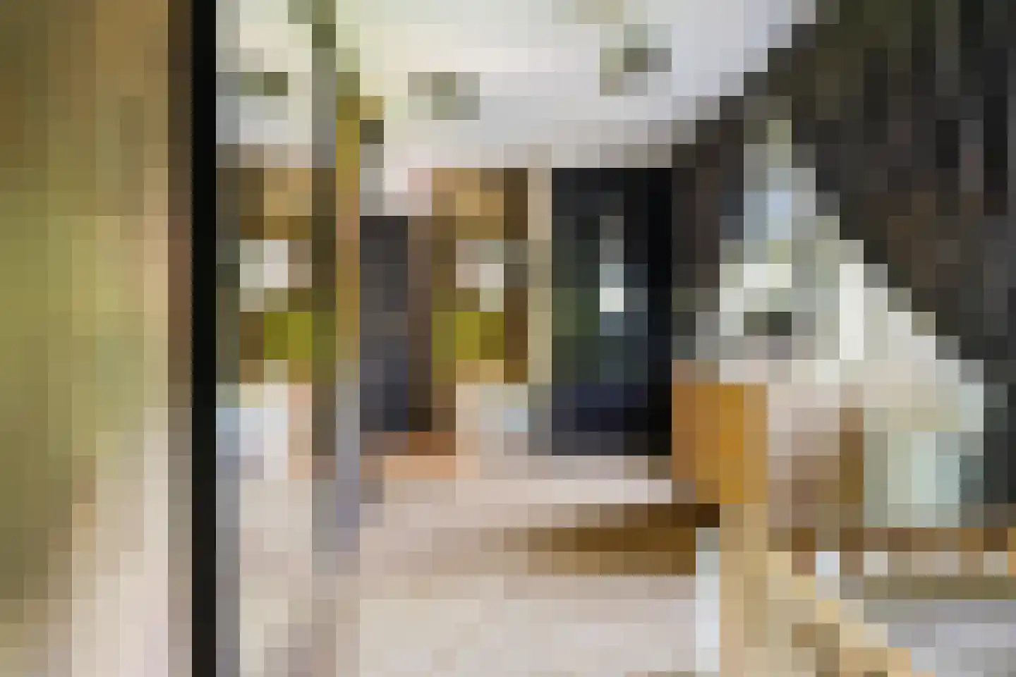 Piusstraat 72 a Tilburg thumbnail 39