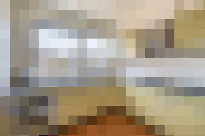 Piustuin 14 Lisse thumbnail 10