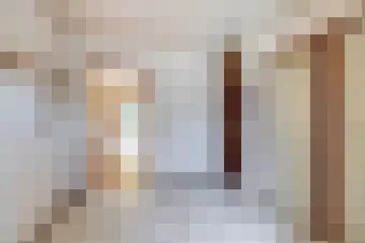 Piustuin 14 Lisse thumbnail 11