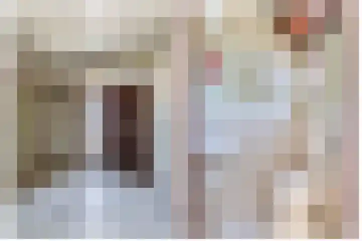 Piustuin 14 Lisse thumbnail 12