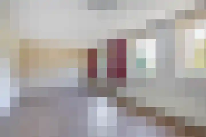 Piustuin 14 Lisse thumbnail 14
