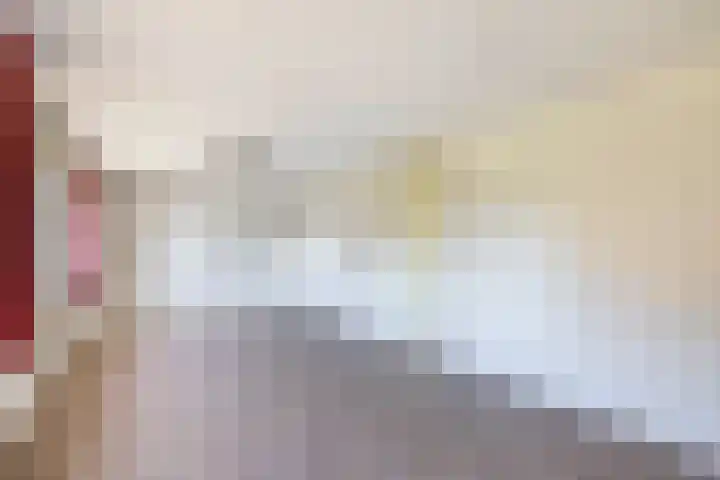 Piustuin 14 Lisse thumbnail 15