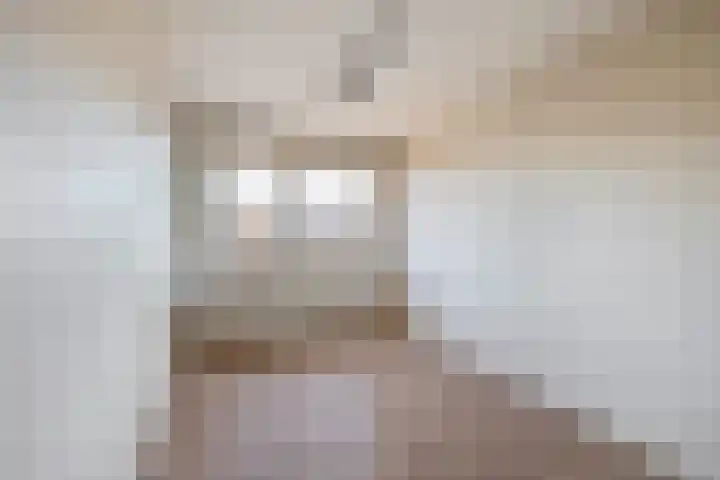 Piustuin 14 Lisse thumbnail 16