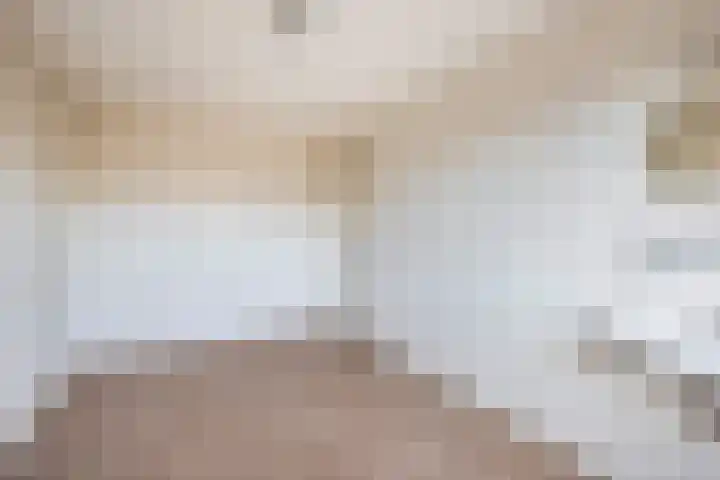 Piustuin 14 Lisse thumbnail 17