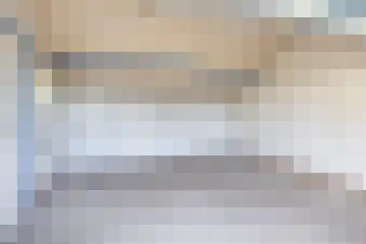 Piustuin 14 Lisse thumbnail 24
