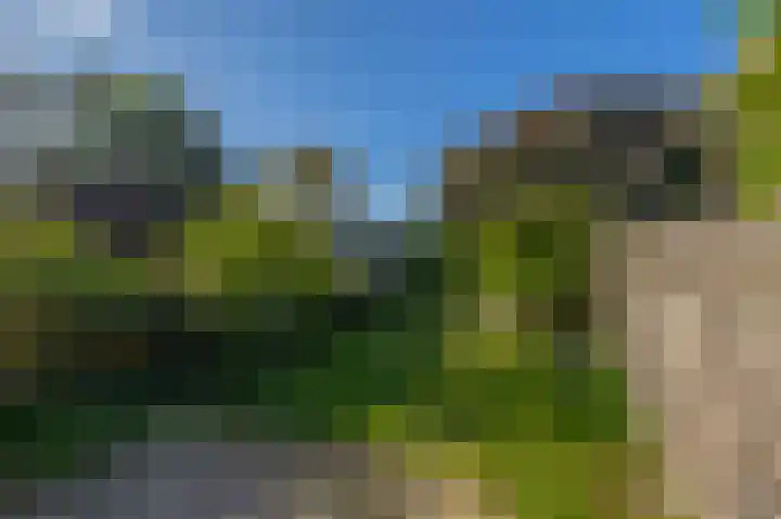 Piustuin 14 Lisse thumbnail 25