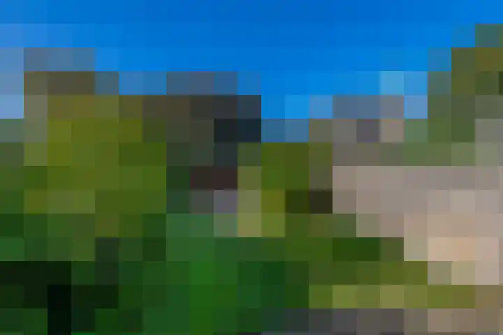Piustuin 14 Lisse thumbnail 26