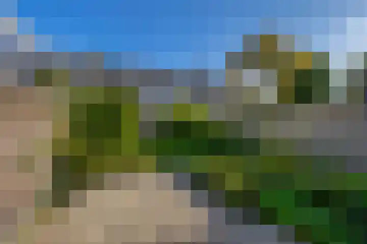 Piustuin 14 Lisse thumbnail 27
