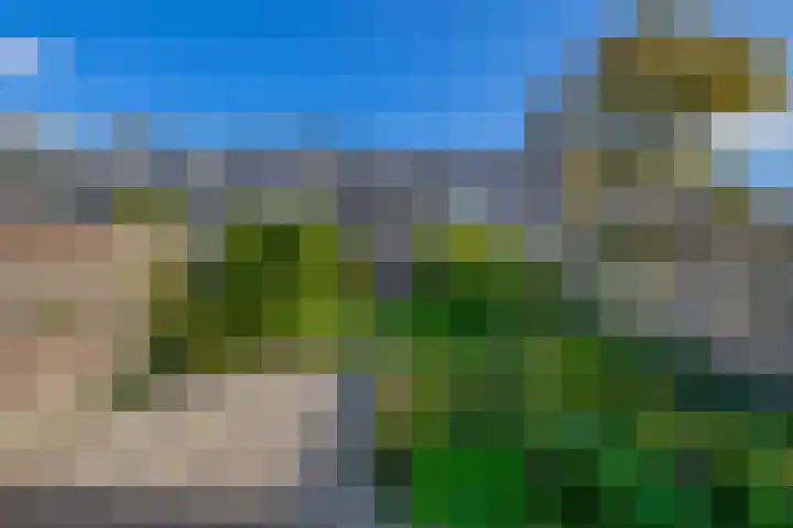 Piustuin 14 Lisse thumbnail 28