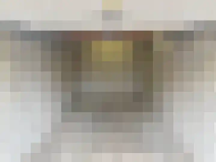 Piustuin 14 Lisse thumbnail 30