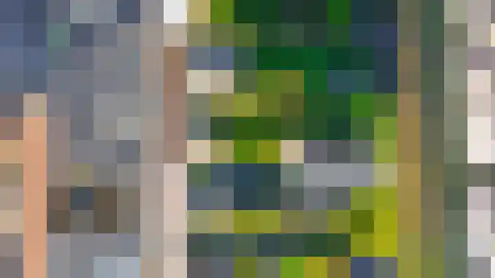 Piustuin 14 Lisse thumbnail 40