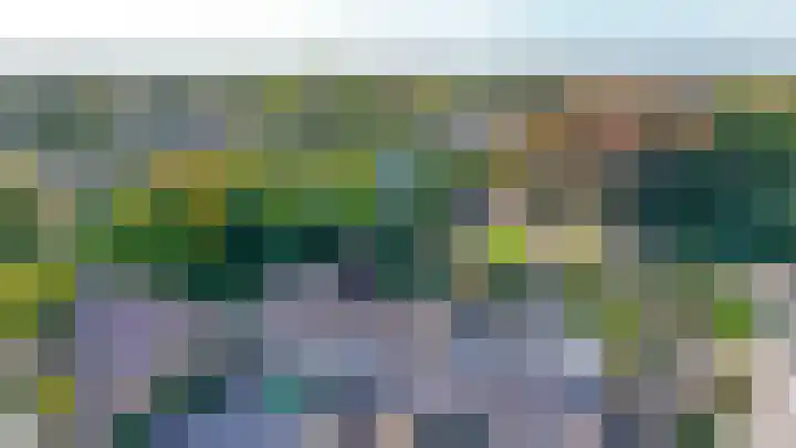 Piustuin 14 Lisse thumbnail 43