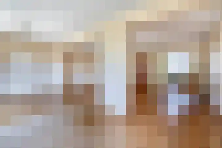 Piustuin 14 Lisse thumbnail 5