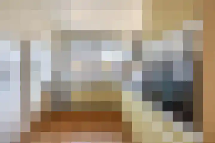Piustuin 14 Lisse thumbnail 8