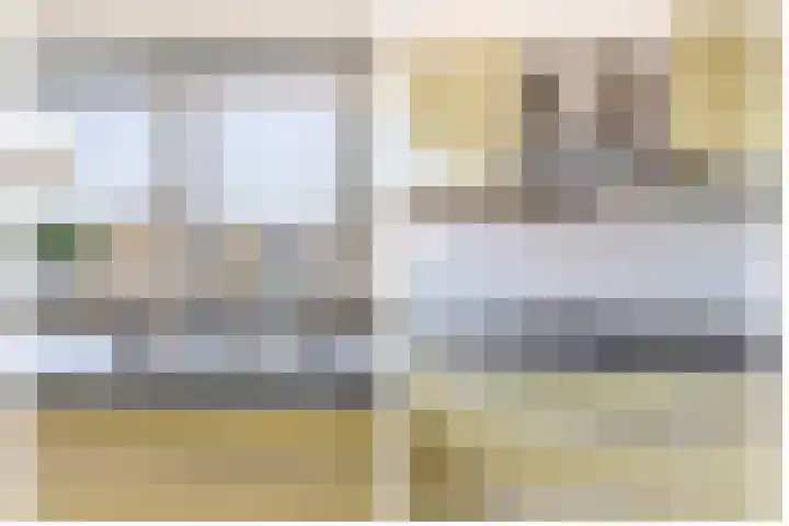 Piustuin 14 Lisse thumbnail 9