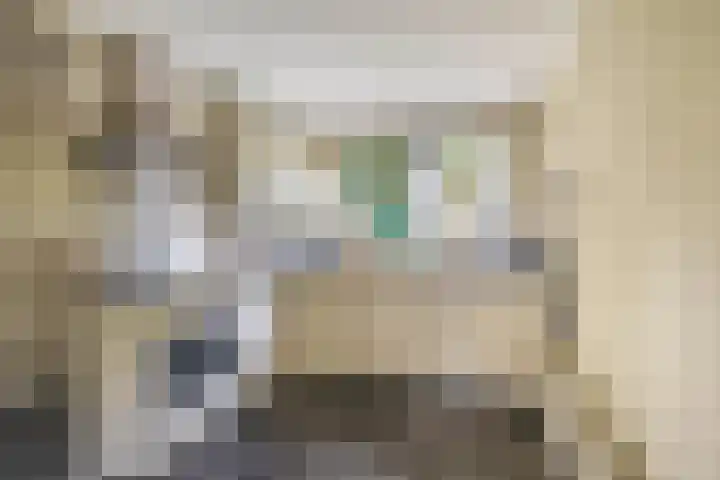 Piustuin 4 Lisse thumbnail 14
