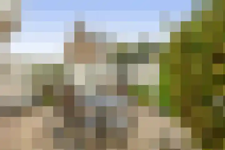 Piustuin 4 Lisse thumbnail 18