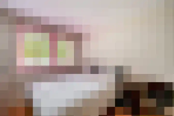 Piustuin 4 Lisse thumbnail 22
