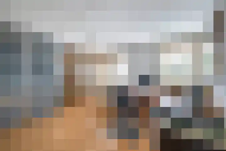 Piustuin 4 Lisse thumbnail 27