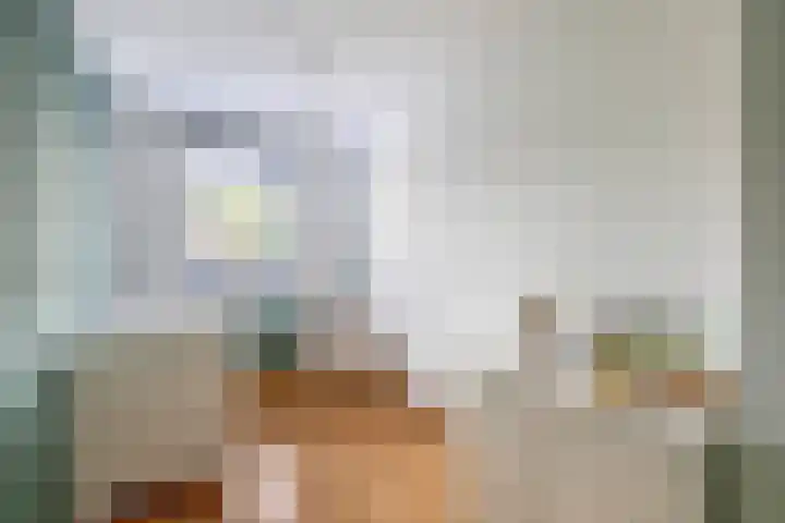 Piustuin 4 Lisse thumbnail 30