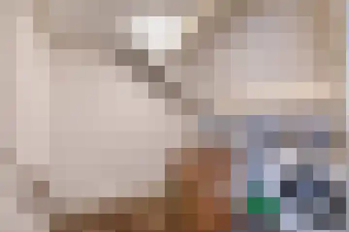 Piustuin 4 Lisse thumbnail 31
