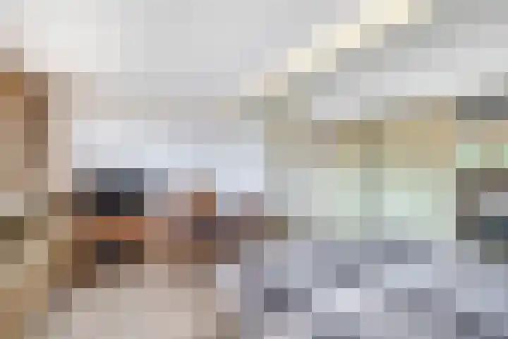 Piustuin 4 Lisse thumbnail 32