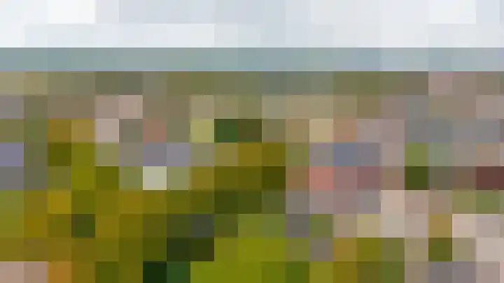 Piustuin 4 Lisse thumbnail 35