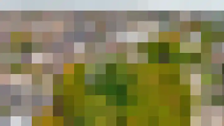 Piustuin 4 Lisse thumbnail 37