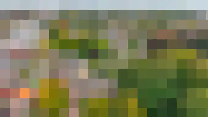 Piustuin 4 Lisse thumbnail 38