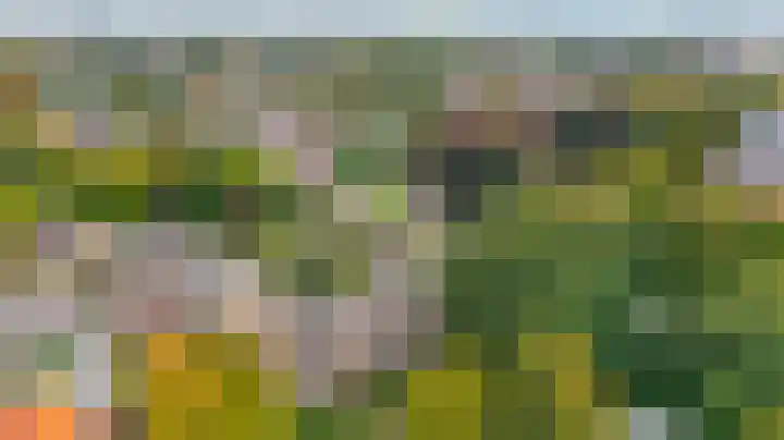 Piustuin 4 Lisse thumbnail 39