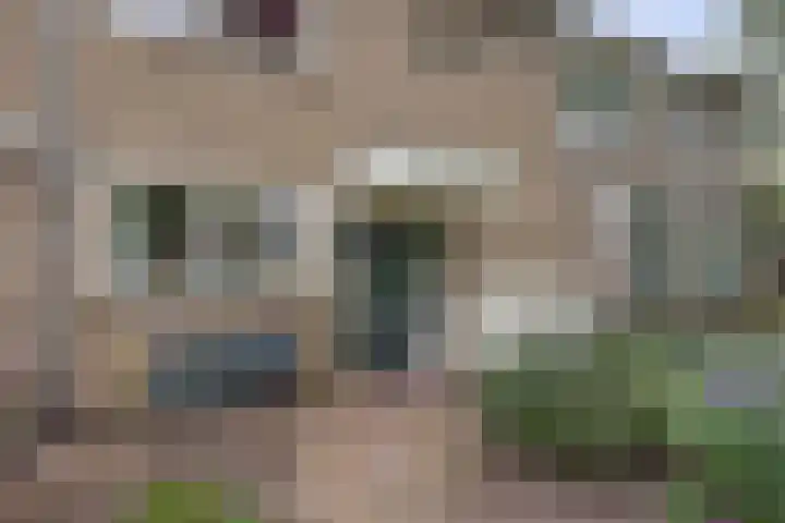 Piustuin 4 Lisse thumbnail 4